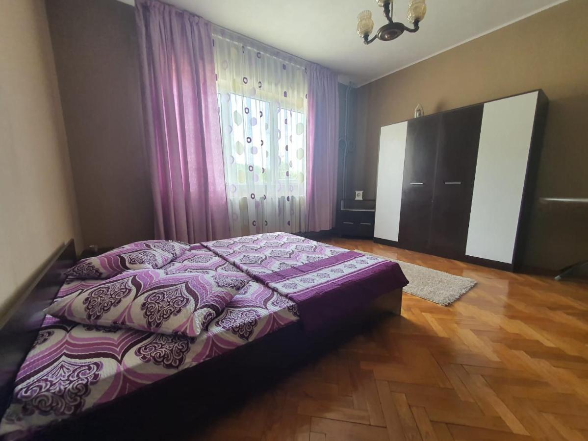 Pretty Garden Villa Orşova Екстериор снимка