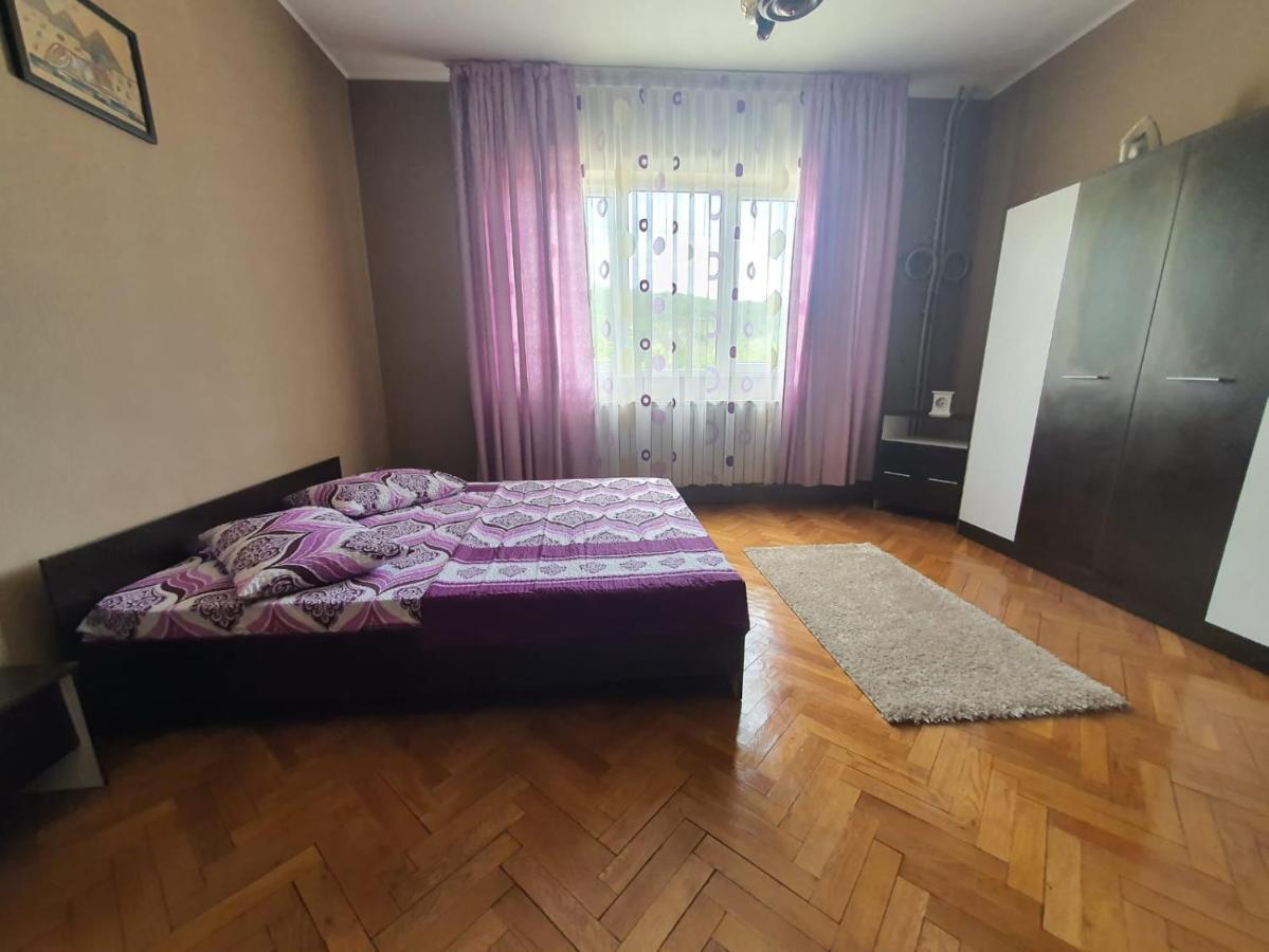Pretty Garden Villa Orşova Екстериор снимка