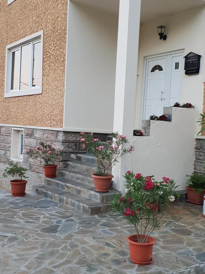 Pretty Garden Villa Orşova Екстериор снимка