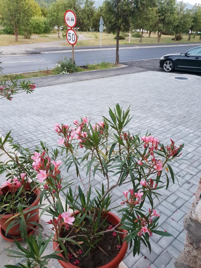 Pretty Garden Villa Orşova Екстериор снимка